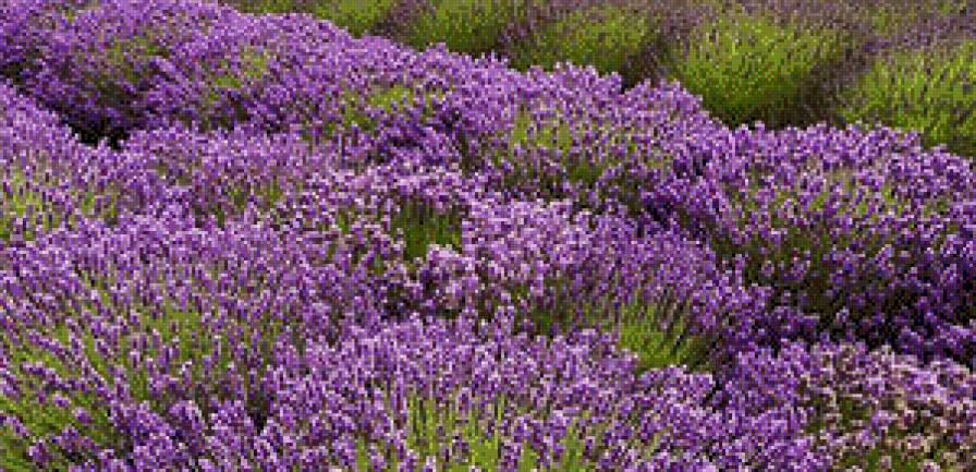 №924234 - предпросмотр