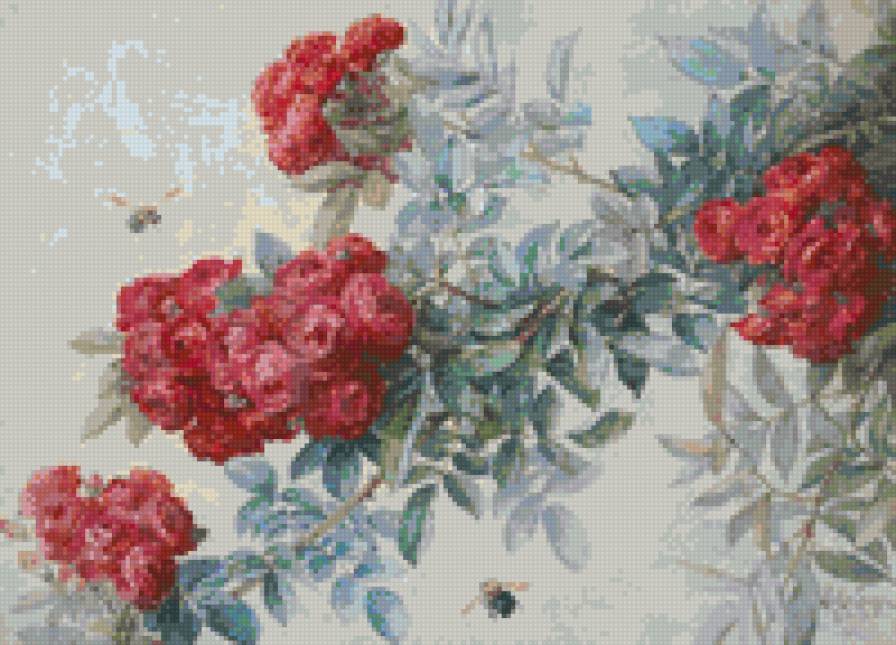 Цветы - цветы - предпросмотр