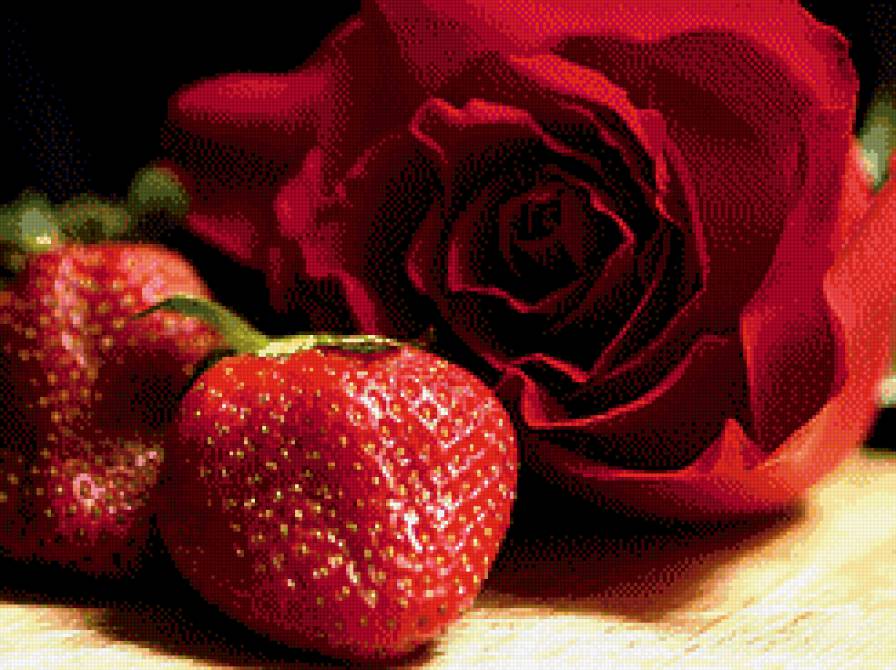 Роза с клубникой - роза - предпросмотр
