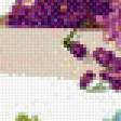 Предпросмотр схемы вышивки «№924529»