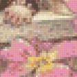 Предпросмотр схемы вышивки «Мои примулы» (№924767)