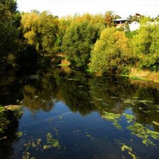 Схема вышивки «Уголок природы»