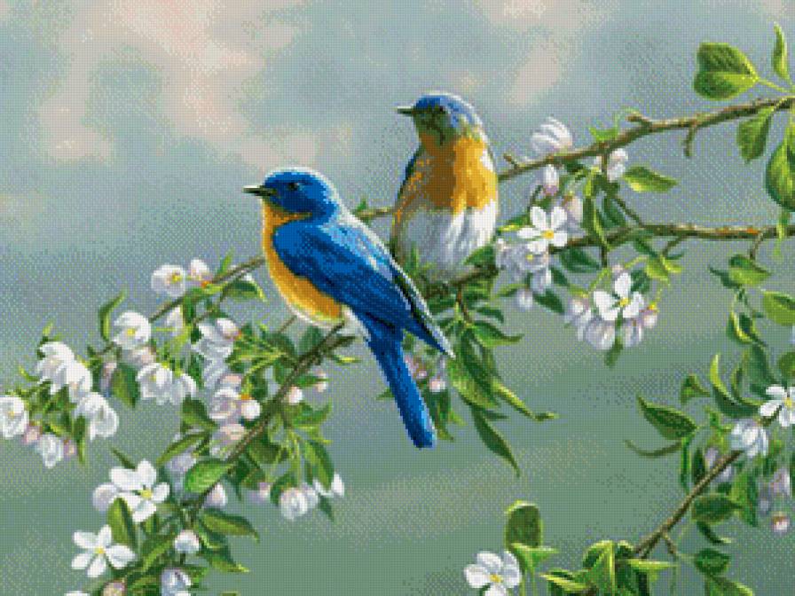 Птичка - цветы, птицы, природа - предпросмотр