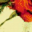 Предпросмотр схемы вышивки «Розы» (№924912)