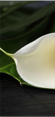 Каллы 1 схема триптиха - 1 - оригинал