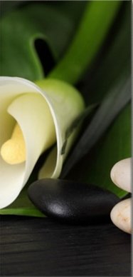 Каллы 2 схема триптиха - 2 - оригинал