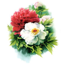 Схема вышивки «пионы»