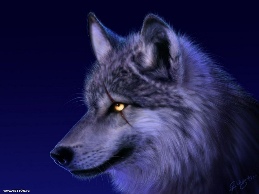 Вожак - лидер, вожак, волк - оригинал