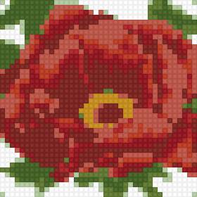 мак - мак цветок - предпросмотр