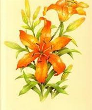 Схема вышивки «лилия»