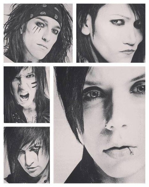 блэки - оригинал