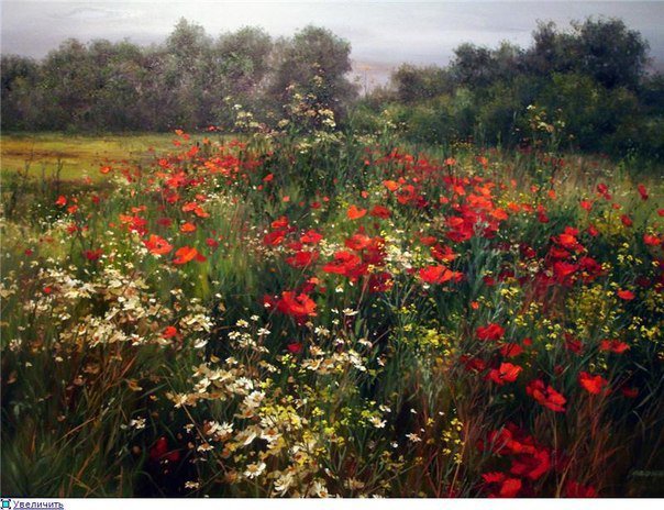полевые цветы - живопись, картины художников, природа, цветы - оригинал