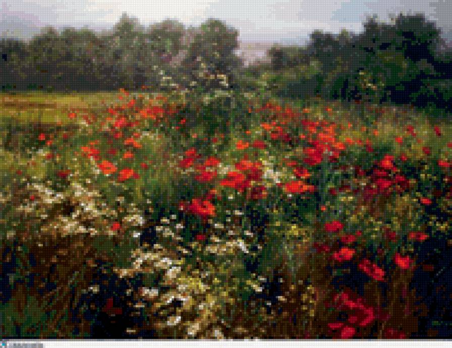 полевые цветы - картины художников, природа, цветы, живопись - предпросмотр