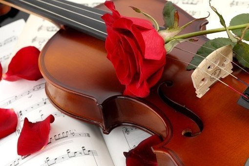 Музыка - скрипка, цветок, ноты, роза, музыка - оригинал