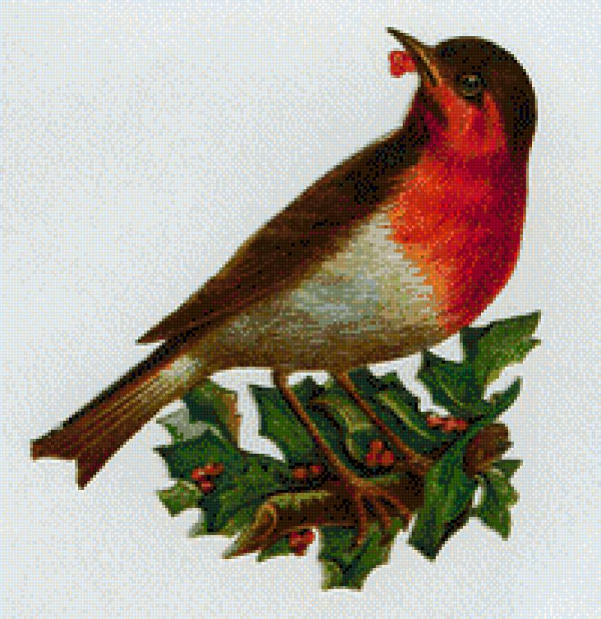 Винтажная птичка - зима, птица, винтаж - предпросмотр