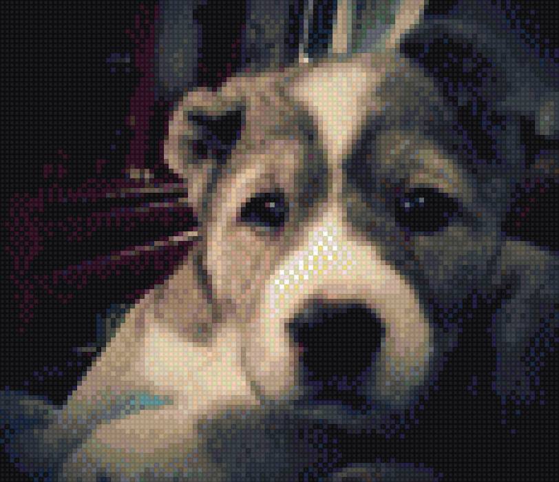 Багира - собакен, багира, собака щенок, милаха - предпросмотр