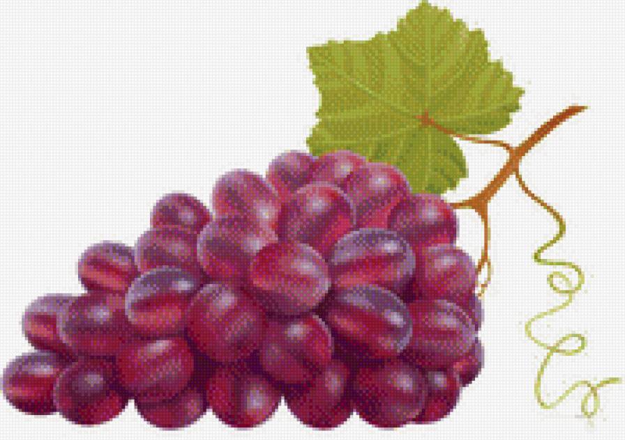 виноград - предпросмотр
