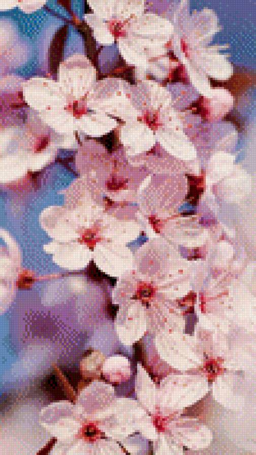 №926428 - вишня, цветы, весна - предпросмотр