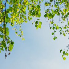 Схема вышивки «№926439»