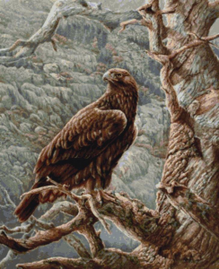 №926527 - предпросмотр