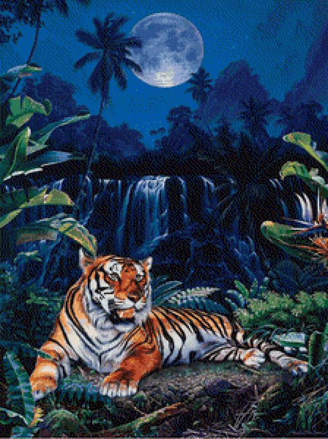 Тигр - тигр - предпросмотр