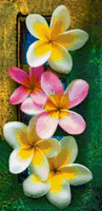 Frangipani - предпросмотр