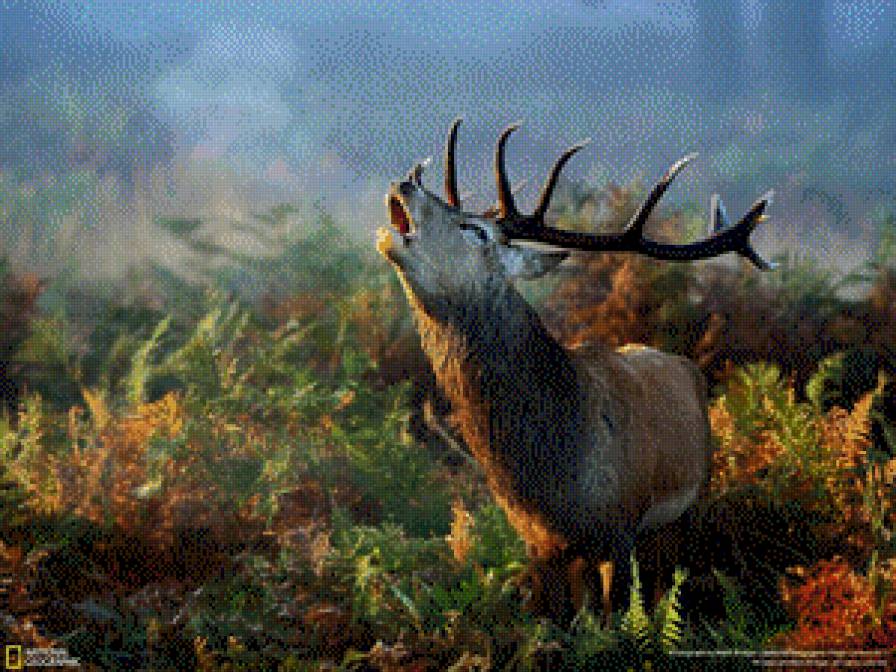 3123 - предпросмотр