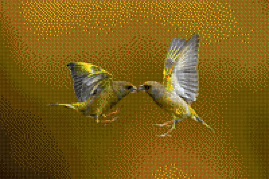 шувуу - предпросмотр