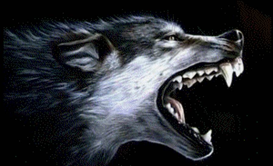 чоно - предпросмотр