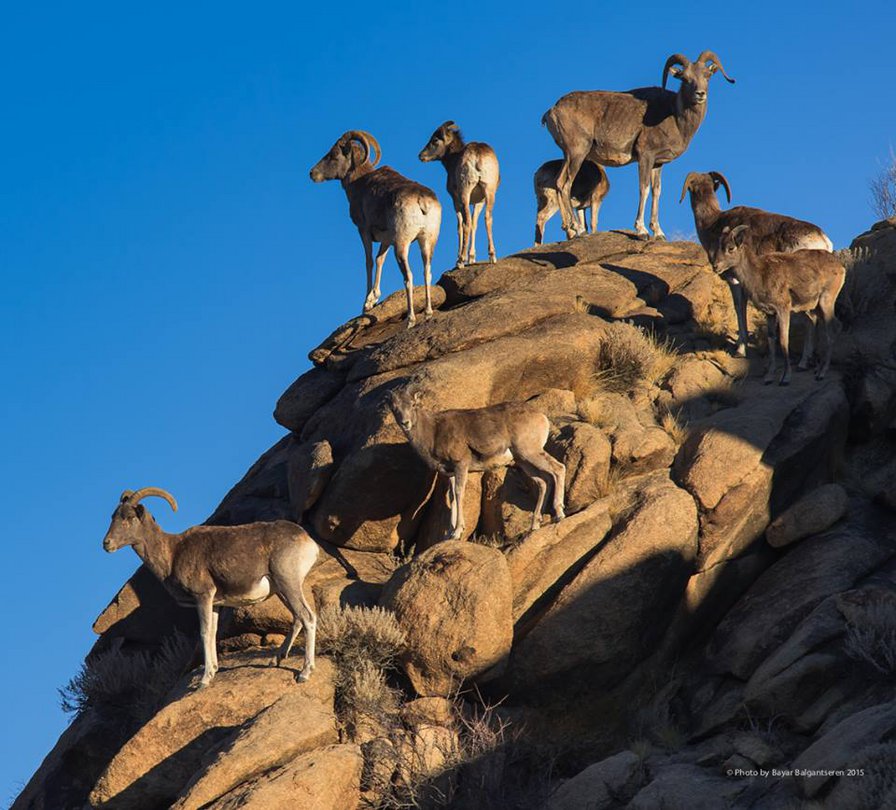 ртүзш - оригинал