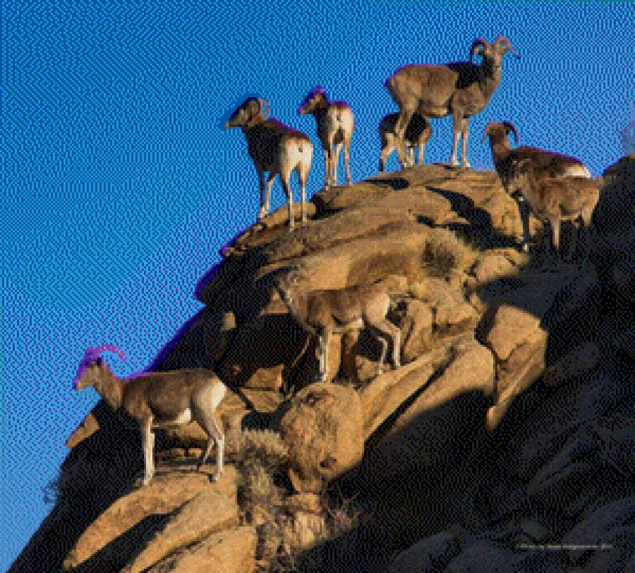 ртүзш - предпросмотр