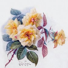 Оригинал схемы вышивки «акварельные розы» (№926901)