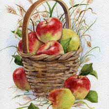 Оригинал схемы вышивки «Корзинка с яблоками» (№926942)