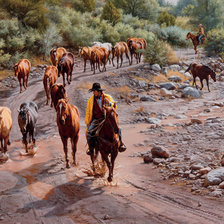 Схема вышивки «перегон»