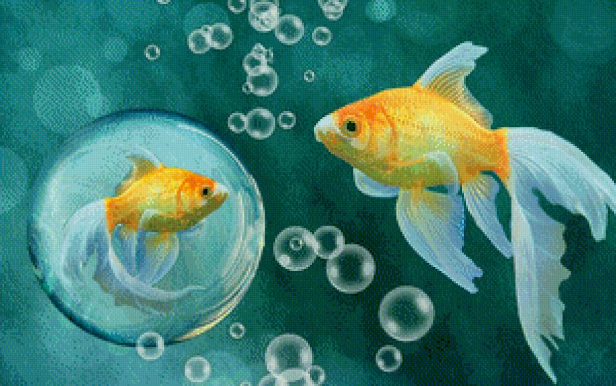 Золотые рыбки - рыбки, вода - предпросмотр