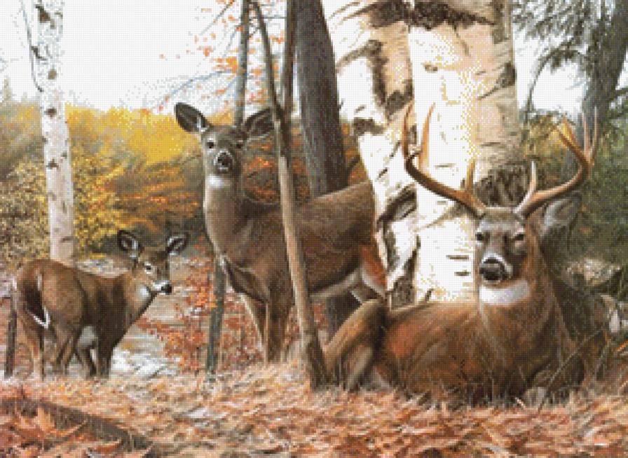 Олени - картина, олени, лес, животные - предпросмотр