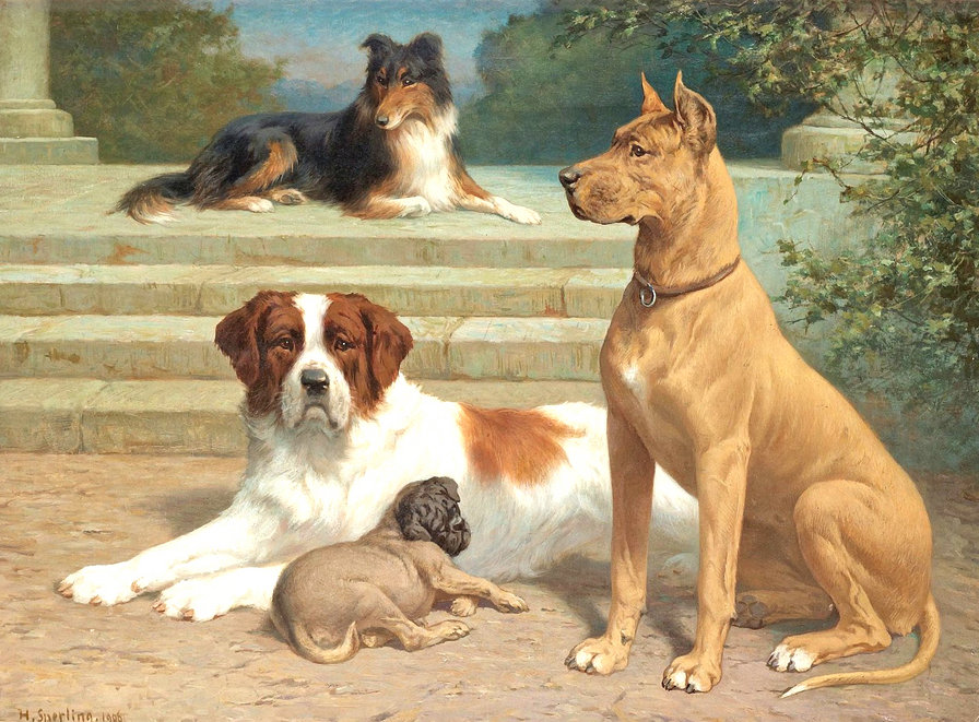 Собаки - собаки - оригинал