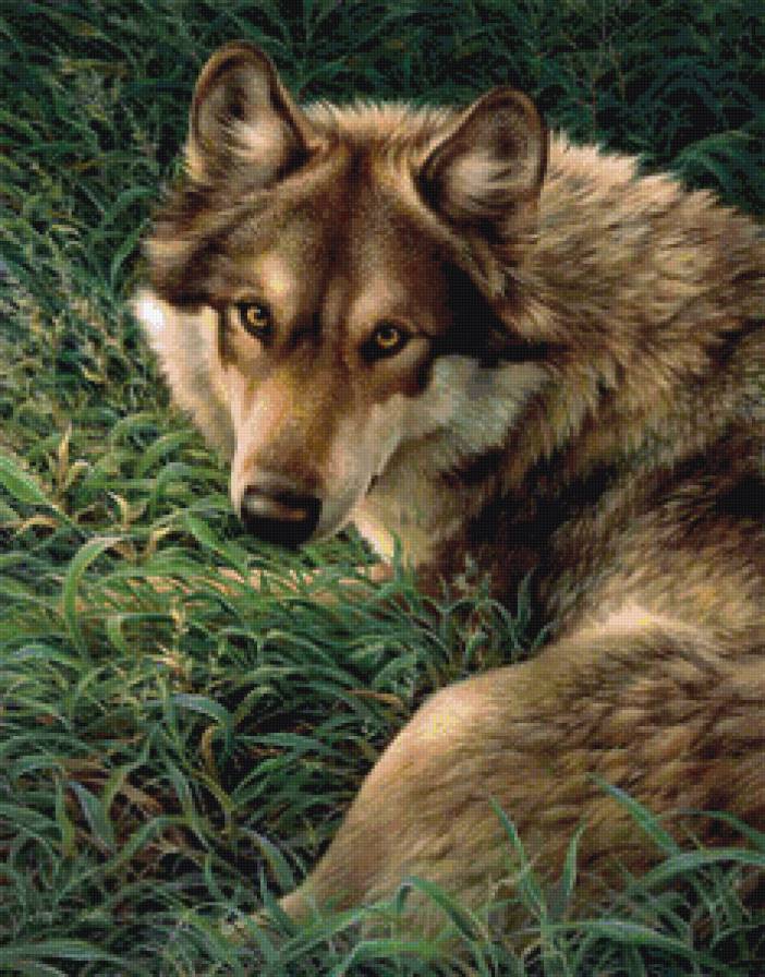 №927471 - предпросмотр