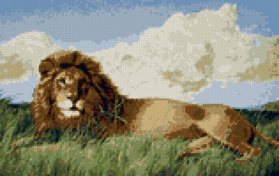 Лев в траве - лев - предпросмотр