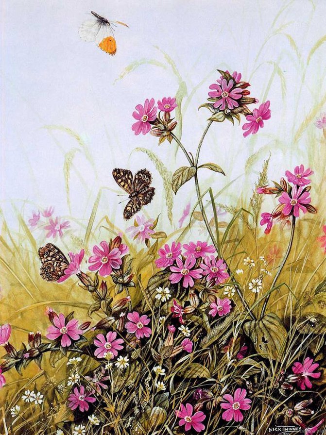 цветочки-бабочки - оригинал