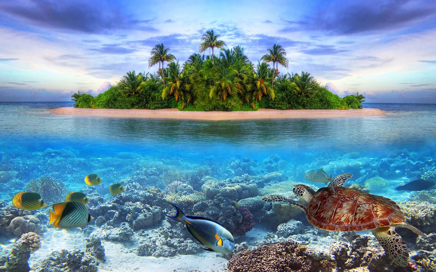 Остров - пальмы, пляж, остров, море - оригинал