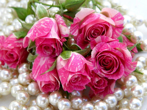 Пестрые розы - оригинал