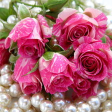 Схема вышивки «Пестрые розы»