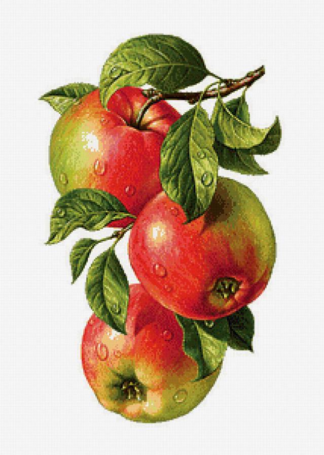 Яблочки - фрукты, кухня, панно - предпросмотр