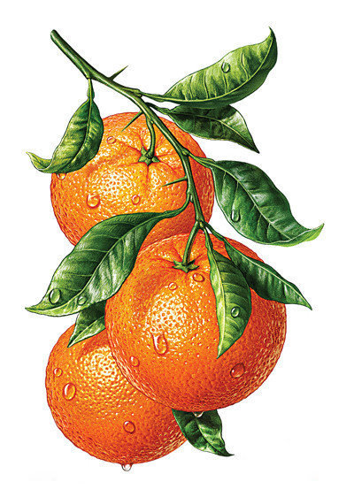 Аельсинчики - панно, кухня, фрукты - оригинал