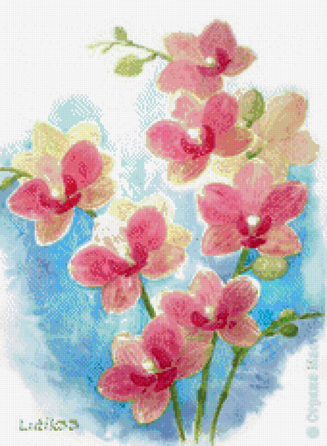 орхидеи - цветы, живопись, искусство, картина - предпросмотр