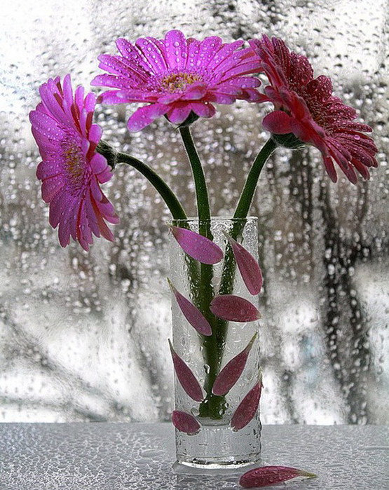 натюрморт - натюрморт - оригинал