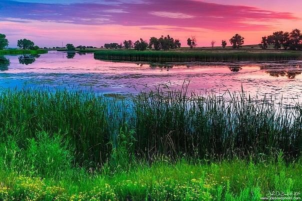 розовый  закат - вода, природа - оригинал