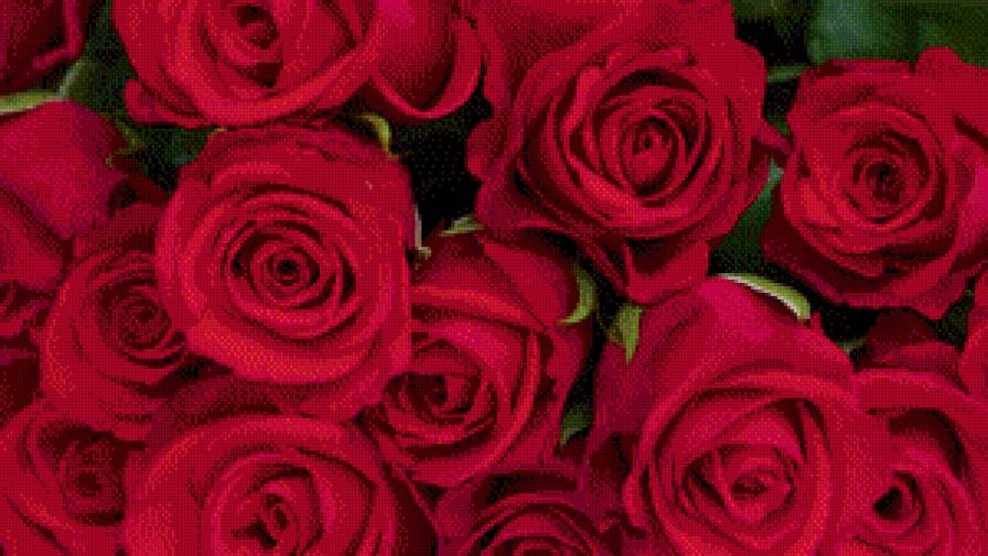 №928663 - красный, розы, цветы - предпросмотр