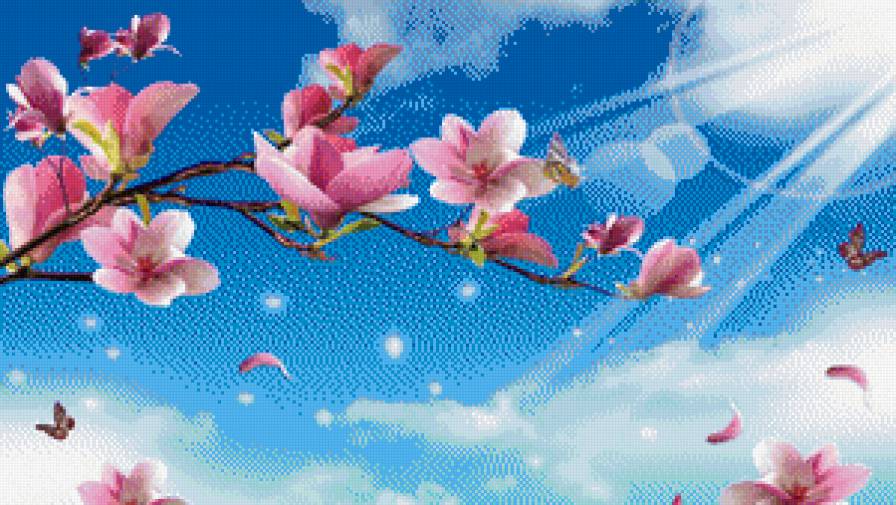 №928665 - цветы, небо - предпросмотр